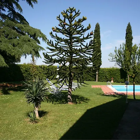 Il Cedro