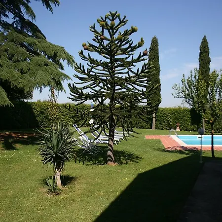 Il Cedro Villa *